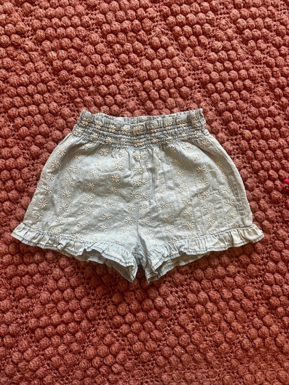 Zara Embroidered Floral Denim Ruffle Shorts